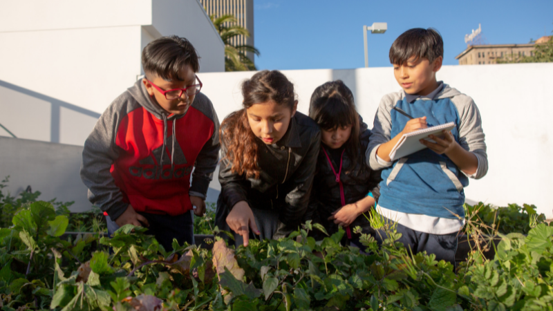 Three kids learning in an outdoor garden, looking at plants Three kids learning in an outdoor garden, looking at plants