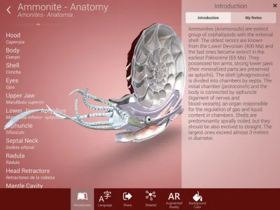 lifeliqe app