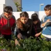 Three kids learning in an outdoor garden, looking at plants