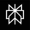 PerplexityAI product icon